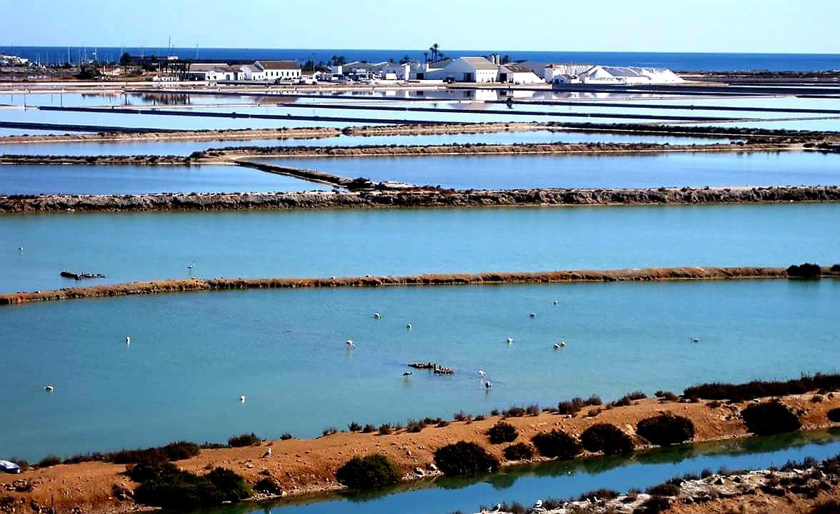 Hotel Alaska San Pedro del Pinatar Ngoại thất bức ảnh