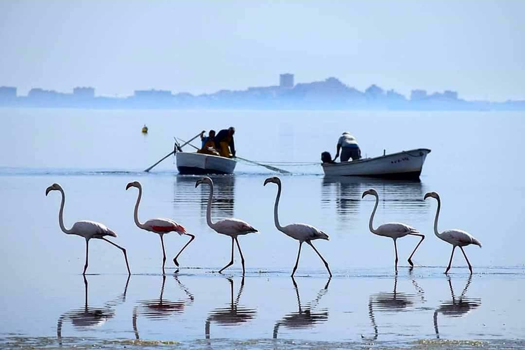 Hotel Alaska San Pedro del Pinatar Ngoại thất bức ảnh